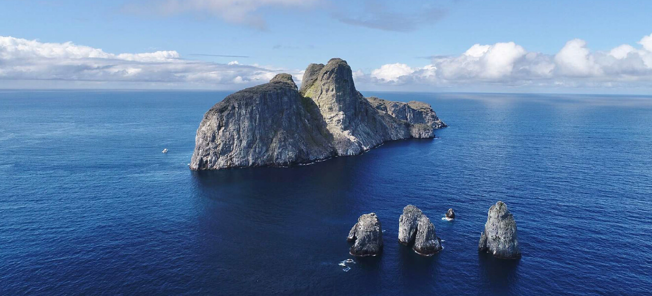 Malpelo